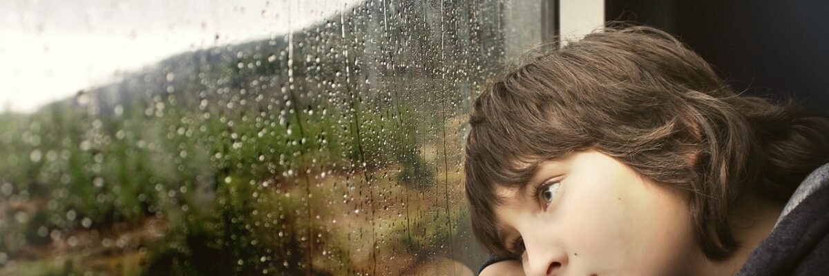 Developmental Delays